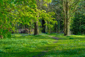 Gardens- click for photo gallery